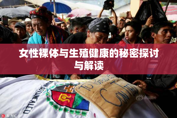 女性裸体与生殖健康的秘密探讨与解读