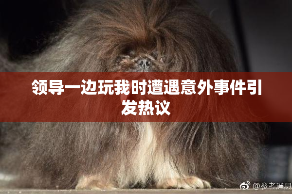 领导一边玩我时遭遇意外事件引发热议