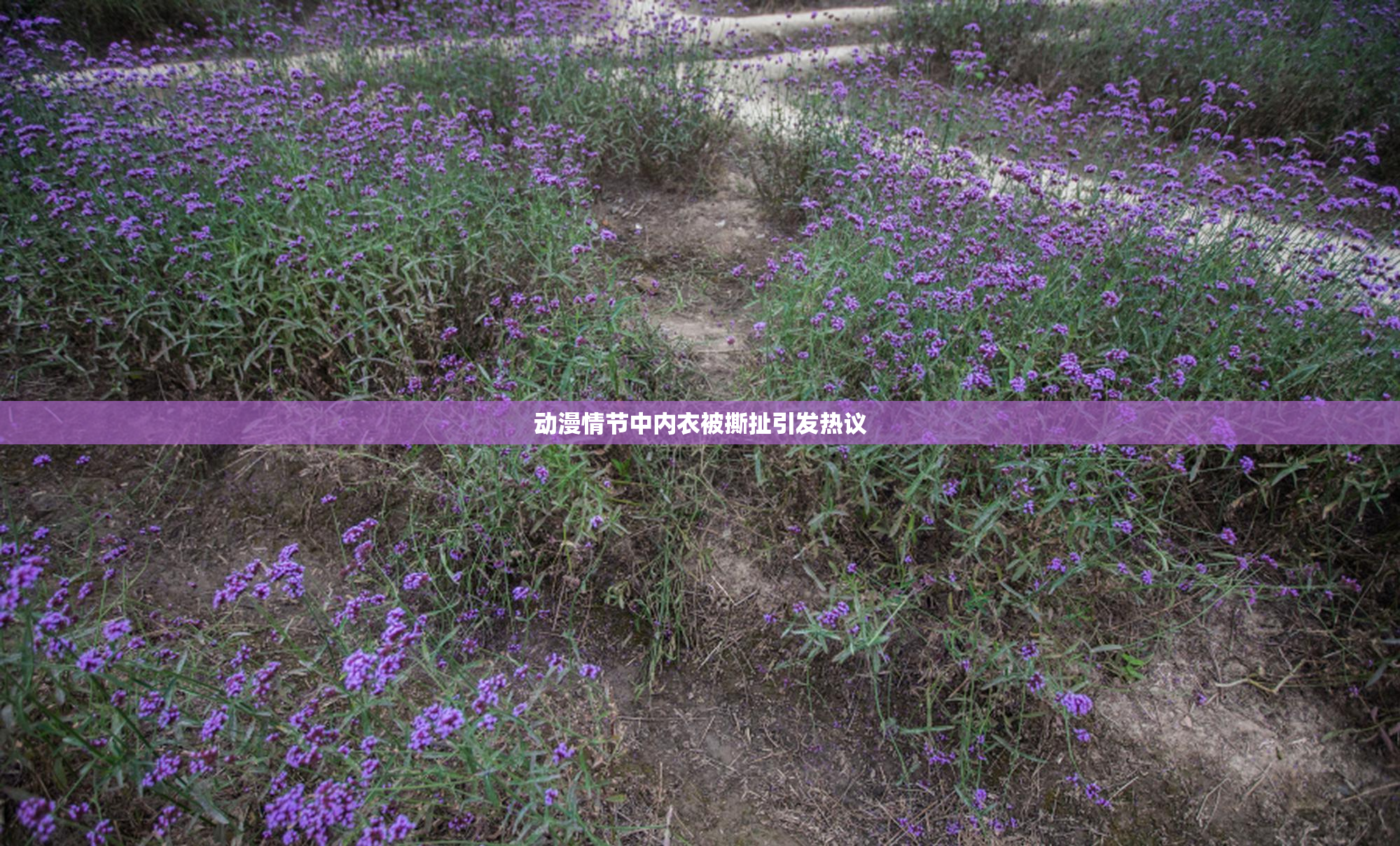 动漫情节中内衣被撕扯引发热议