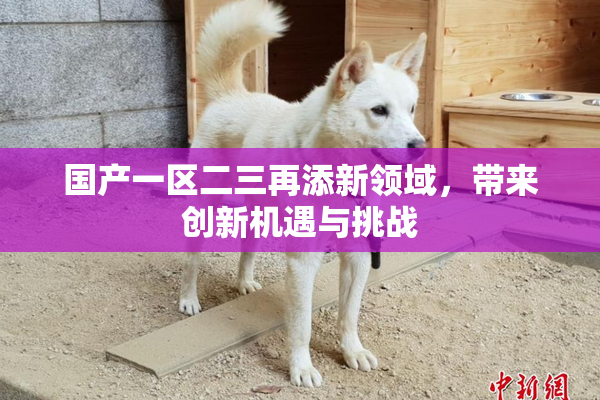 国产一区二三再添新领域，带来创新机遇与挑战
