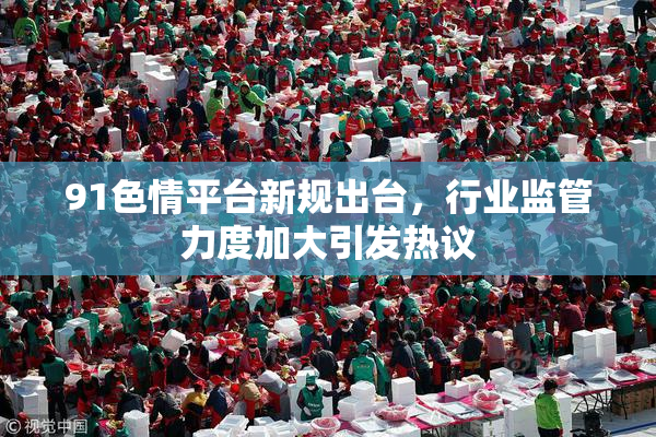 91色情平台新规出台，行业监管力度加大引发热议