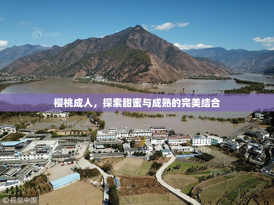 樱桃成人，探索甜蜜与成熟的完美结合