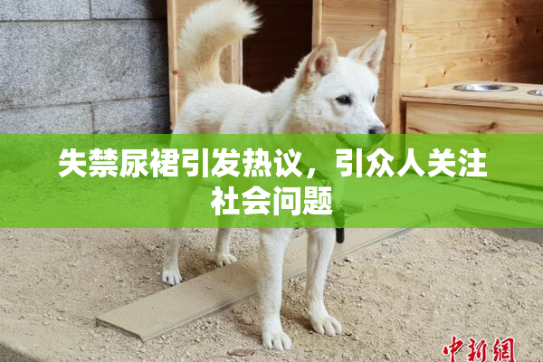 失禁尿裙引发热议，引众人关注社会问题