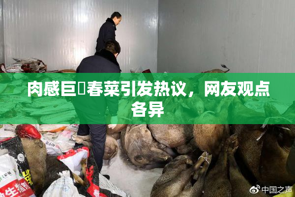 肉感巨凥春菜引发热议，网友观点各异