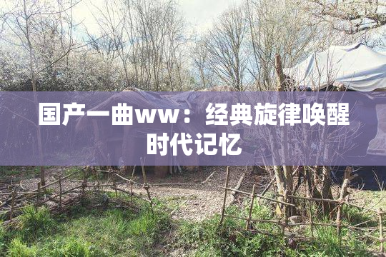 国产一曲ww：经典旋律唤醒时代记忆
