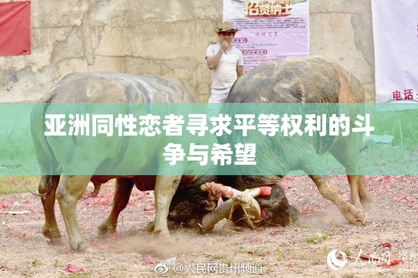 亚洲同性恋者寻求平等权利的斗争与希望