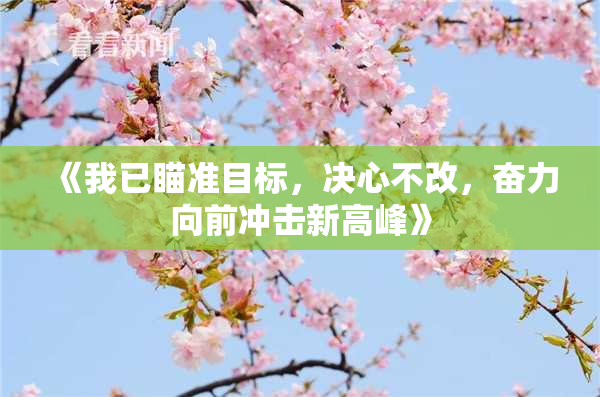 《我已瞄准目标，决心不改，奋力向前冲击新高峰》