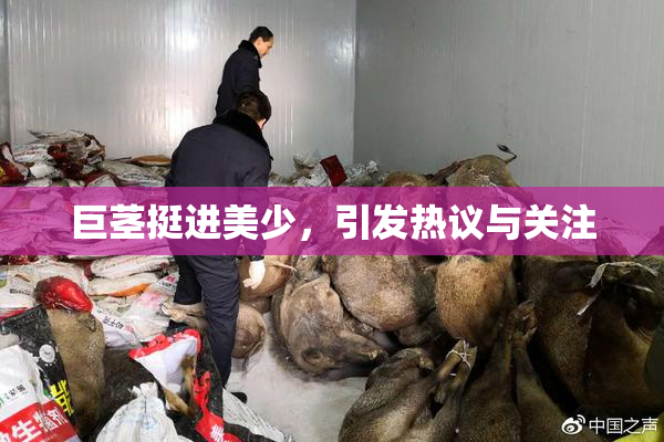 巨茎挺进美少，引发热议与关注