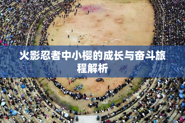 火影忍者中小樱的成长与奋斗旅程解析
