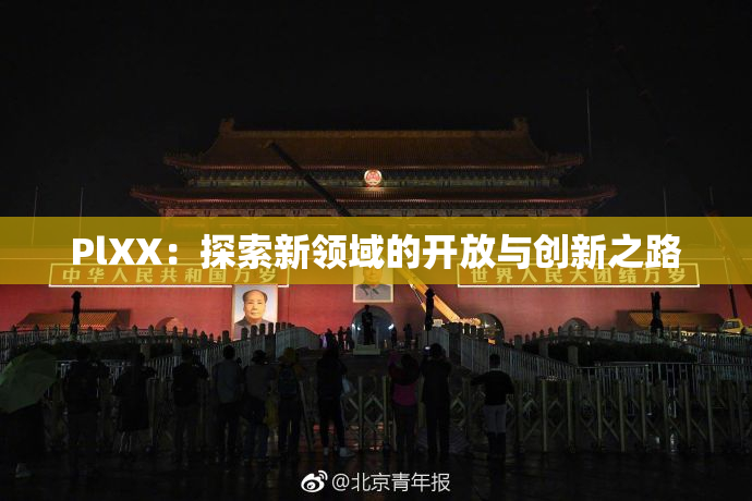 PlXX：探索新领域的开放与创新之路
