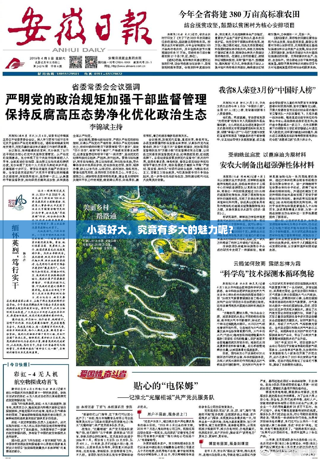 小哀好大，究竟有多大的魅力呢？