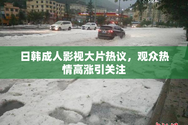 日韩成人影视大片热议，观众热情高涨引关注