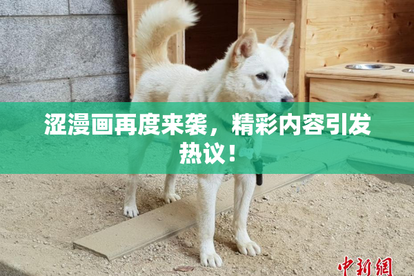 涩漫画再度来袭，精彩内容引发热议！