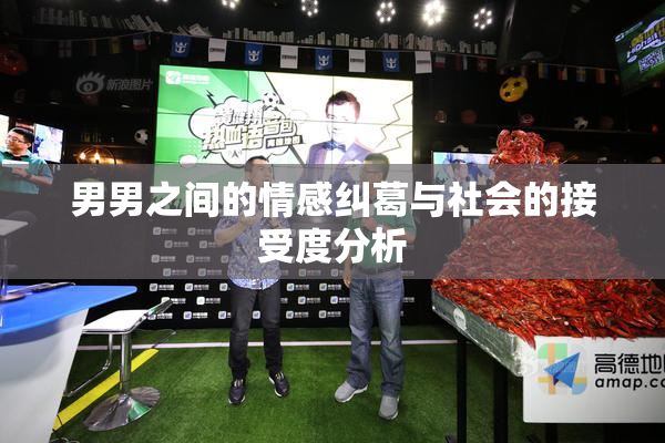 男男之间的情感纠葛与社会的接受度分析