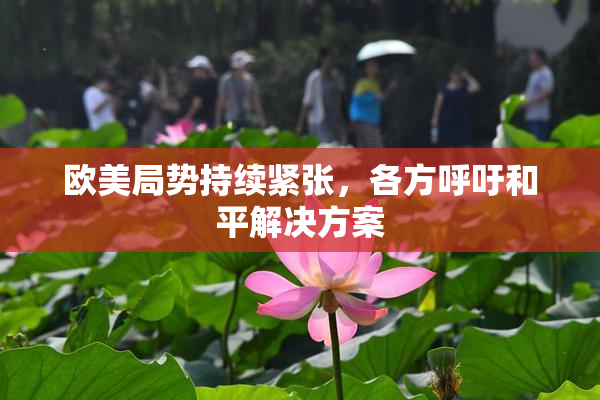 欧美局势持续紧张，各方呼吁和平解决方案
