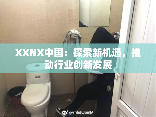 XXNX中国：探索新机遇，推动行业创新发展