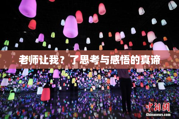 老师让我？了思考与感悟的真谛
