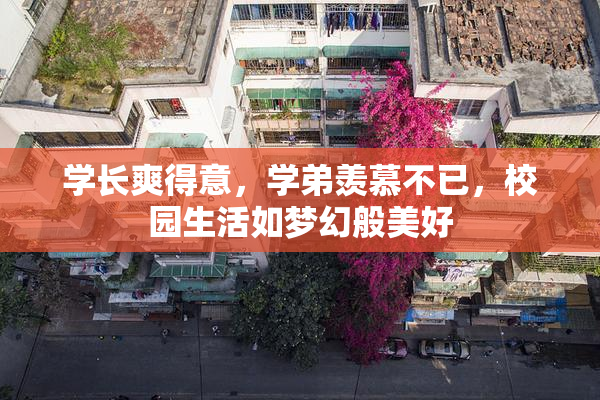 学长爽得意，学弟羡慕不已，校园生活如梦幻般美好