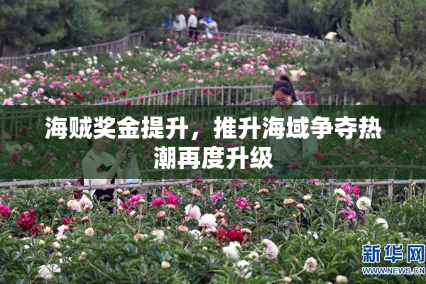 海贼奖金提升，推升海域争夺热潮再度升级