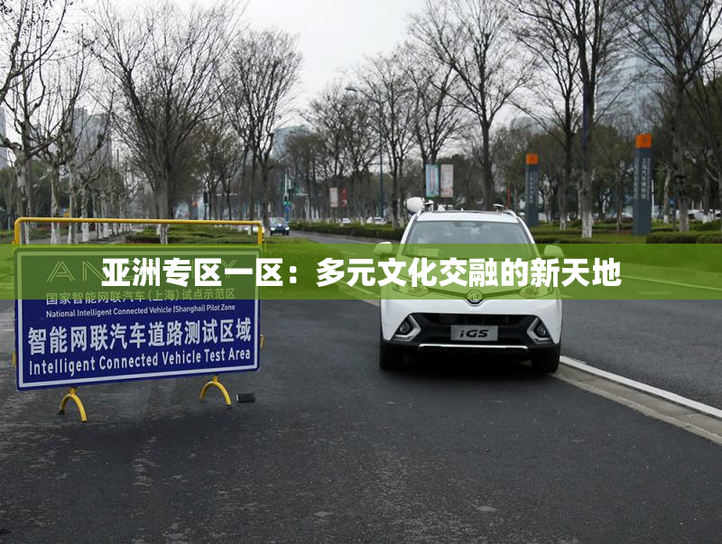 亚洲专区一区：多元文化交融的新天地