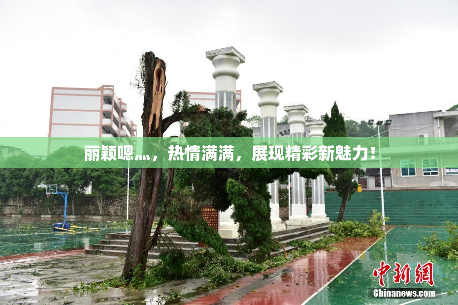 丽颖嗯灬，热情满满，展现精彩新魅力！