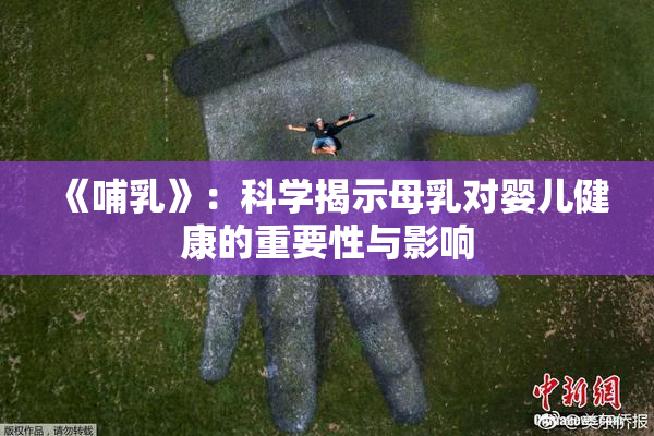《哺乳》：科学揭示母乳对婴儿健康的重要性与影响