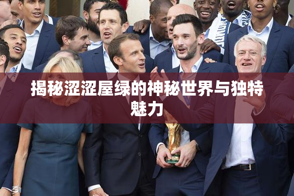揭秘涩涩屋绿的神秘世界与独特魅力