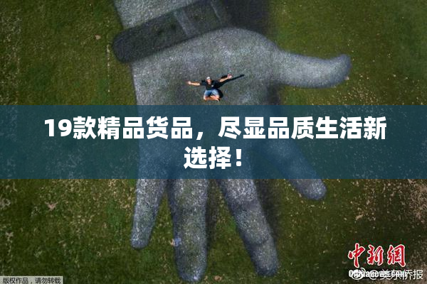 19款精品货品，尽显品质生活新选择！