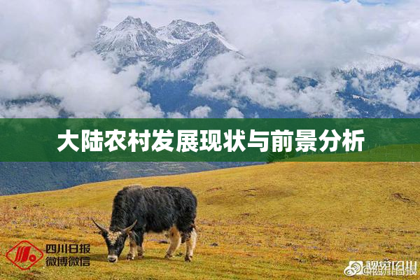 大陆农村发展现状与前景分析
