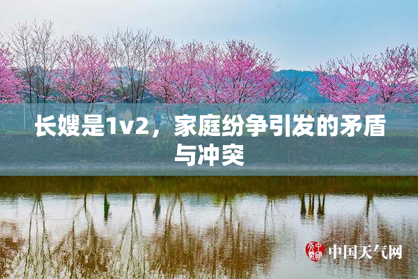 长嫂是1v2，家庭纷争引发的矛盾与冲突