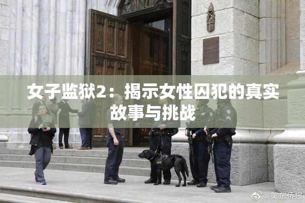 女子监狱2：揭示女性囚犯的真实故事与挑战
