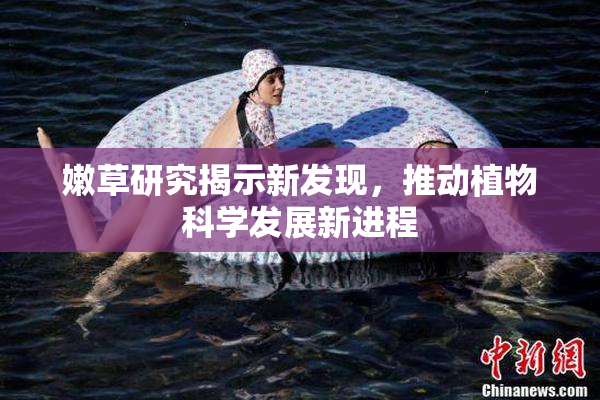 嫩草研究揭示新发现，推动植物科学发展新进程