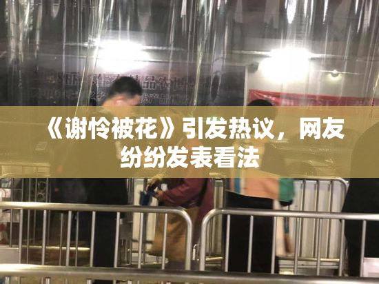 《谢怜被花》引发热议，网友纷纷发表看法