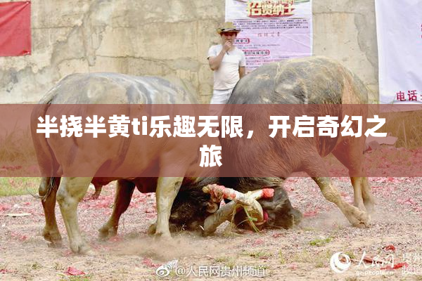 半挠半黄ti乐趣无限，开启奇幻之旅