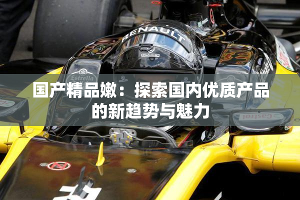 国产精品嫩：探索国内优质产品的新趋势与魅力
