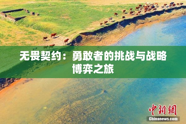 无畏契约：勇敢者的挑战与战略博弈之旅