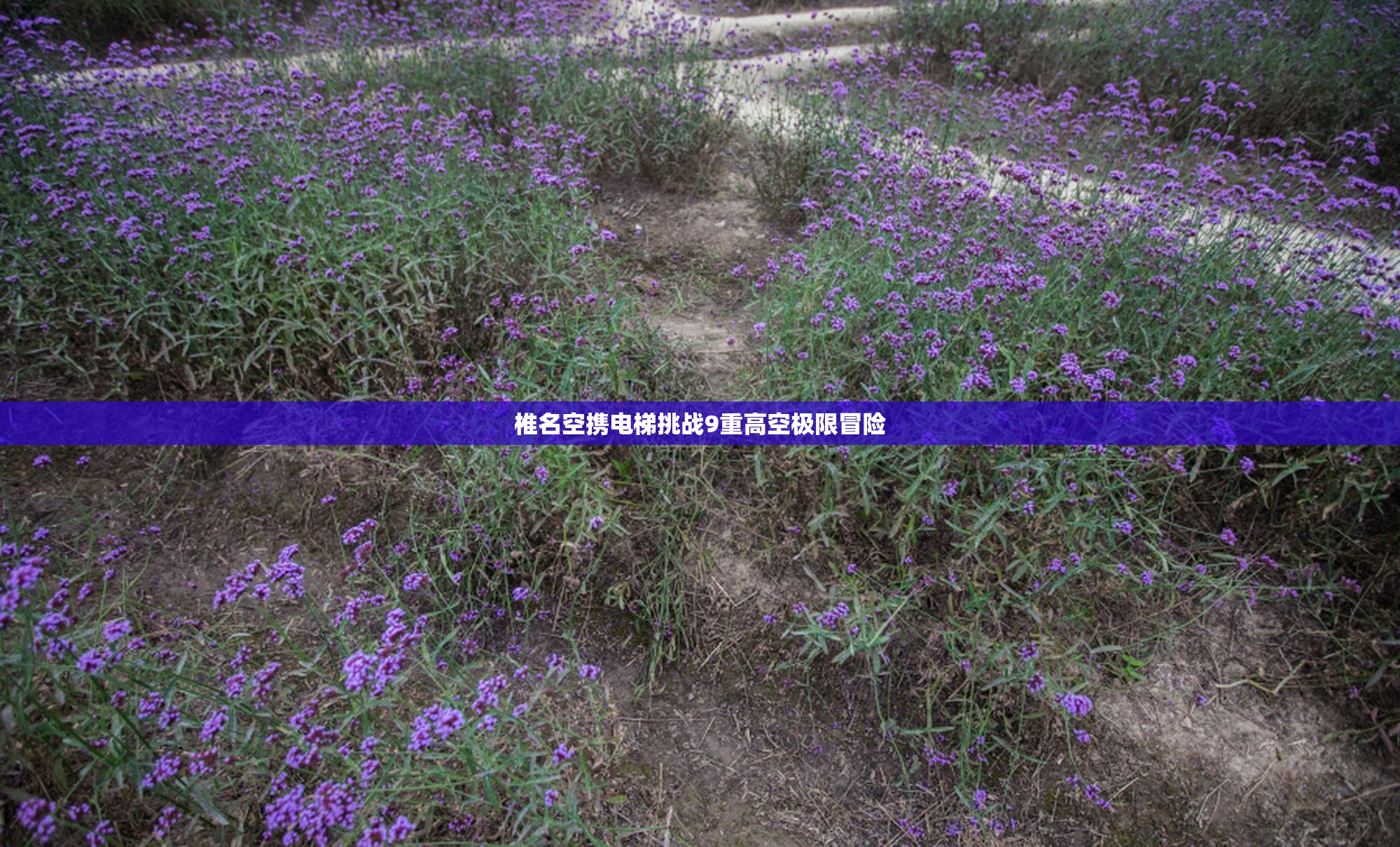椎名空携电梯挑战9重高空极限冒险
