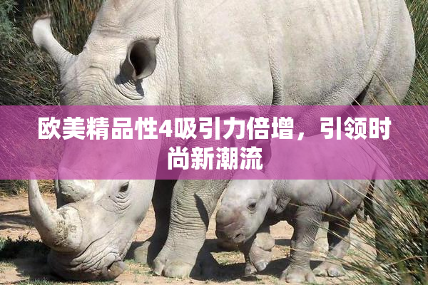欧美精品性4吸引力倍增，引领时尚新潮流