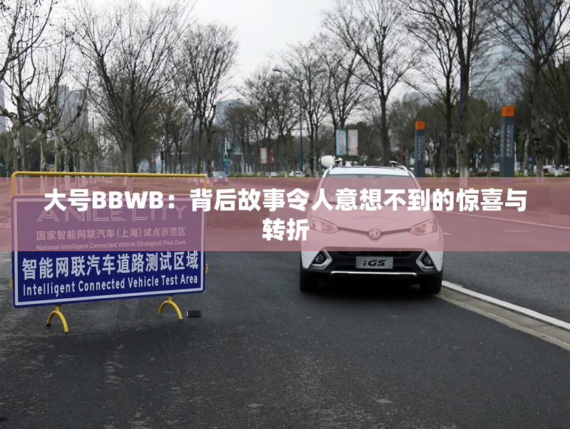 大号BBWB：背后故事令人意想不到的惊喜与转折