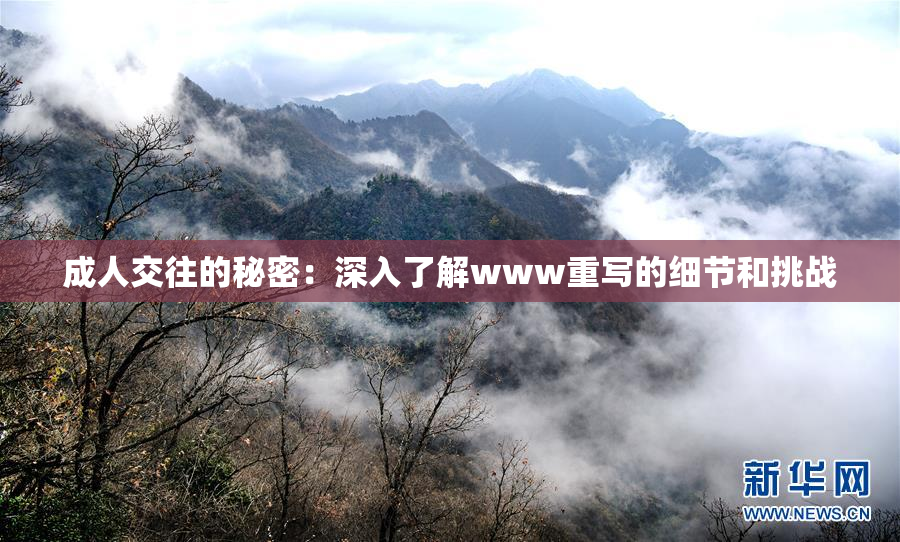 成人交往的秘密：深入了解www重写的细节和挑战
