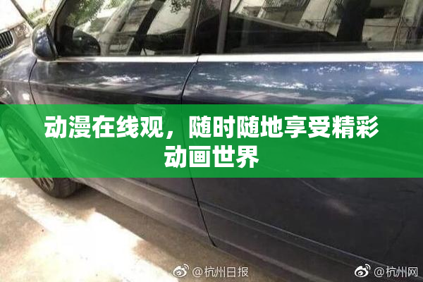 动漫在线观，随时随地享受精彩动画世界