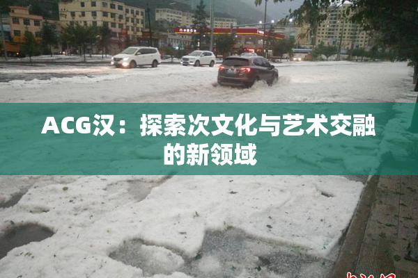 ACG汉：探索次文化与艺术交融的新领域