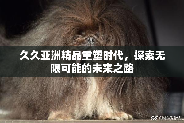久久亚洲精品重塑时代，探索无限可能的未来之路