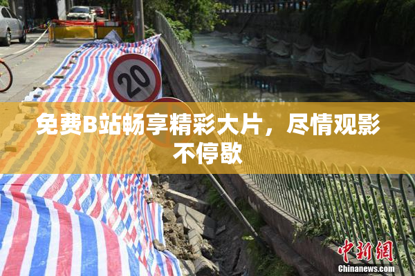 免费B站畅享精彩大片，尽情观影不停歇