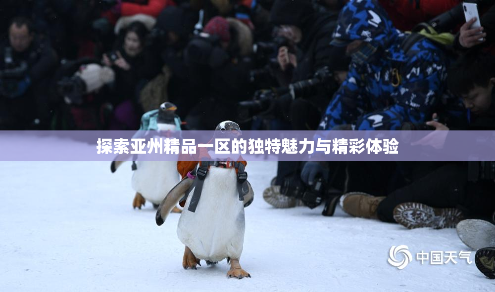 探索亚州精品一区的独特魅力与精彩体验