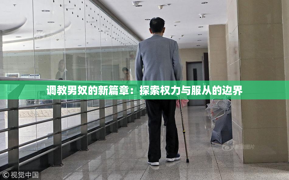 调教男奴的新篇章：探索权力与服从的边界