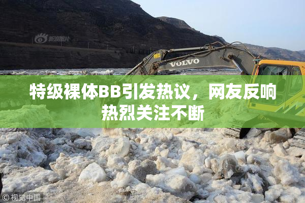 特级裸体BB引发热议，网友反响热烈关注不断