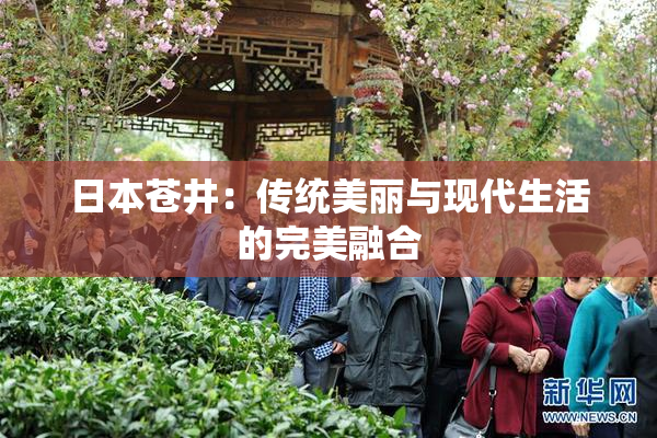 日本苍井：传统美丽与现代生活的完美融合