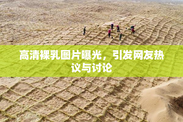 高清裸乳图片曝光，引发网友热议与讨论