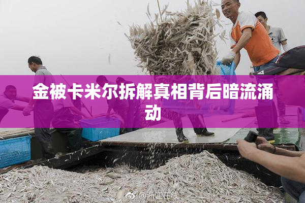 金被卡米尔拆解真相背后暗流涌动
